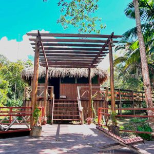 Amazon rainforest experience package - 2 nights