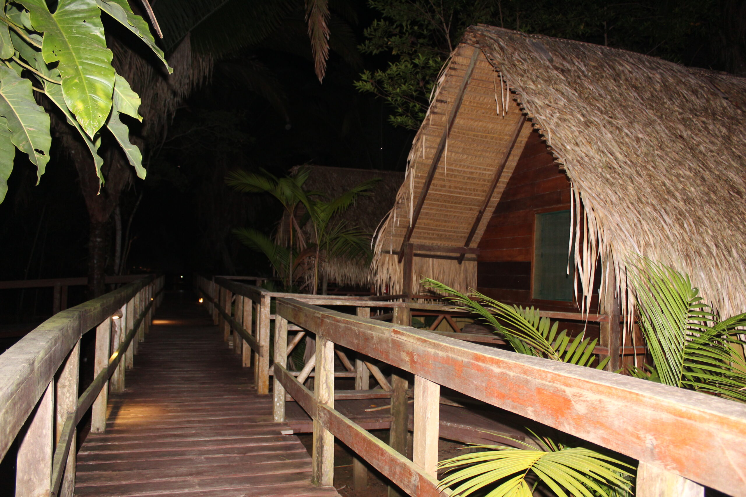 Juma Kabanas Amazon Lodge