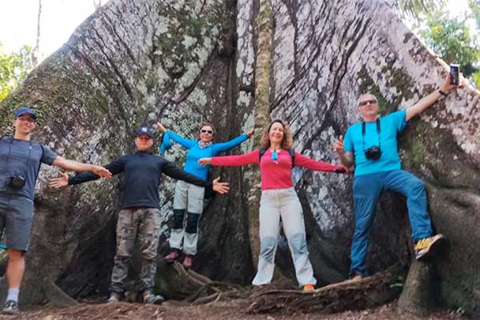 amazon-adventure-lodge-samauma